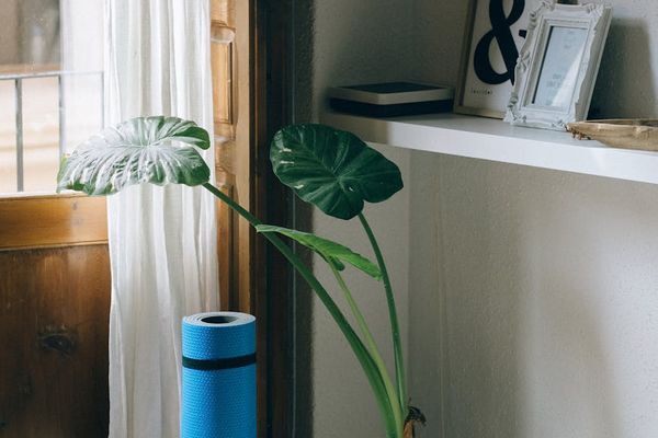 Minimalist training space with natural light from a large window.