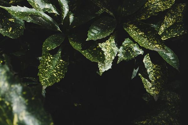 Subtle details of a calm, focused workout environment.